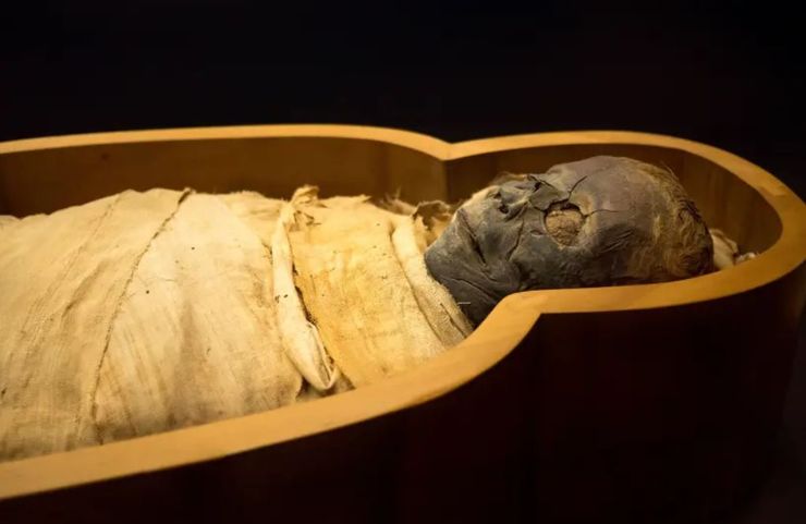 поховання, археологія, знахідка, стародавній єгипет, розкопки