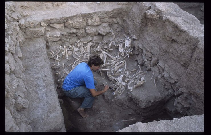 розкопки, Умм-ель-Марра, археолог, фото