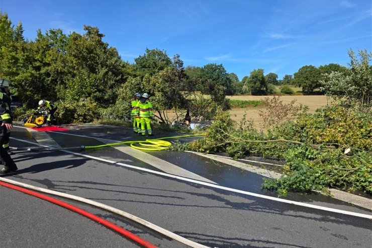 тесла пожар