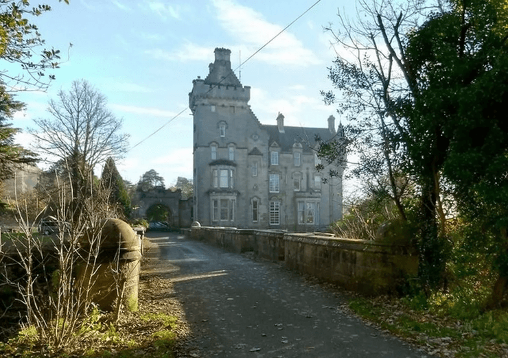 Старинный викторианский мост, мост, каменный мост, 600 собак, тайна моста, переправа, животные, обрыв, лес, дом рядом с мостом