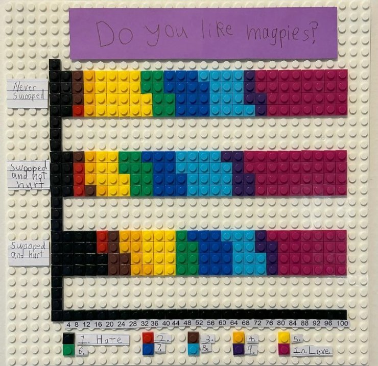 австралія сорока напад гістограма