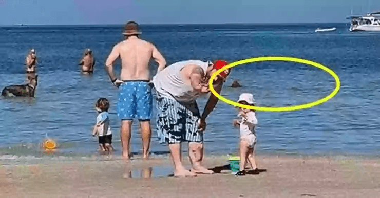 Сімейне фото, пляж, акула, загадкове фото, сімейний кадр, батько і дочка, фігура на задньому плані, фото викликало суперечки, плавник акули, акула у воді