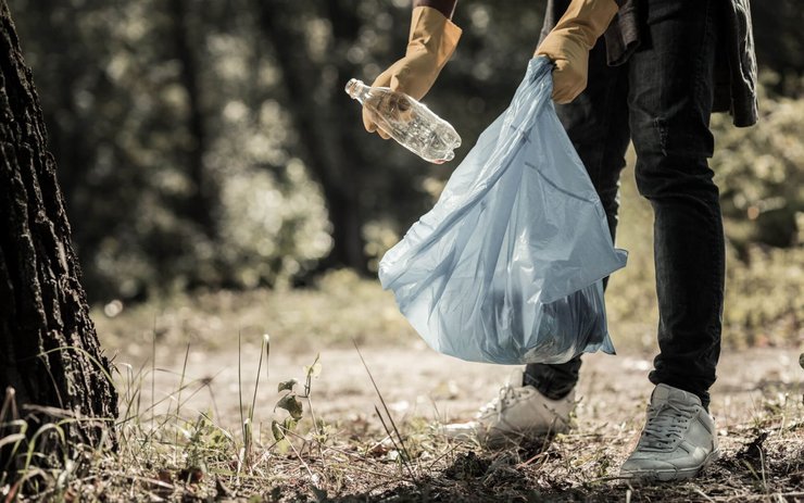 фото, уборка мусора в лесах