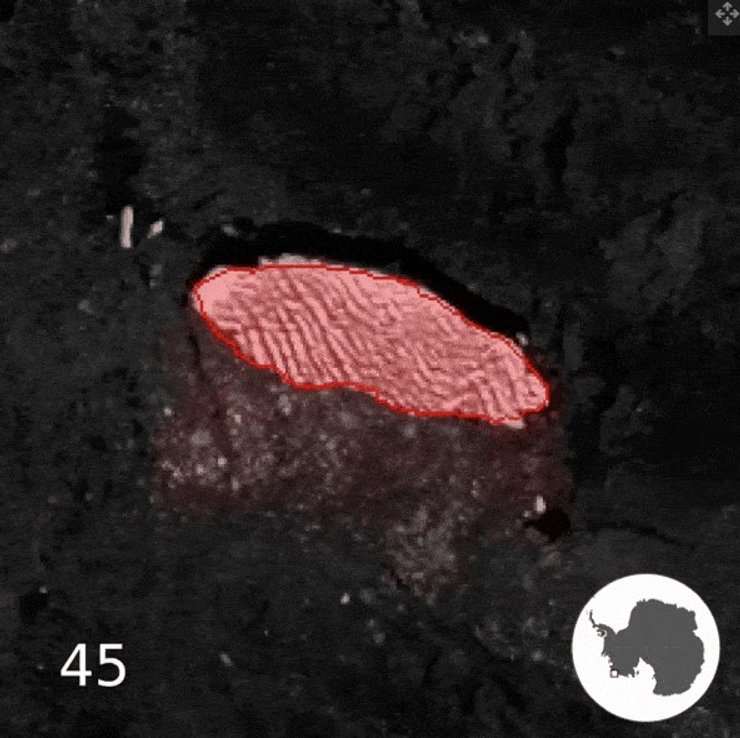 виявлення айсберга ШІ