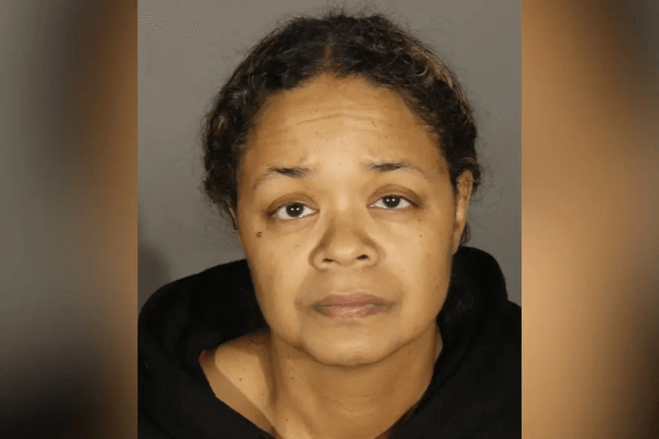 Медсестра, фальшива медсестра, жінка видавала себе за медсестру, робота в лікарні, доглядала за пацієнтами,