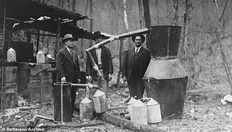 сухой закон, самогонщики, болота, подполье, винокурня