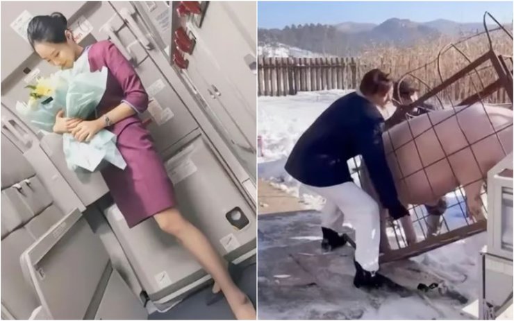 Колишня стюардеса стала свинаркою, як їй вдалось заробити десятки тисяч доларів всього за 2 місяці, робота