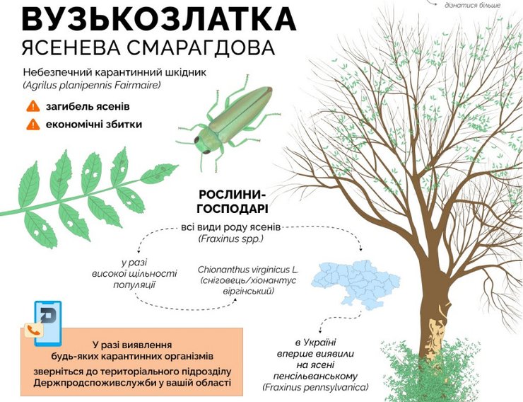 Ознаки ураження