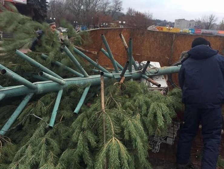Мэр, Канев, новогодняя елка, елка, Игорь Ренькас
