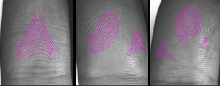 отпечатки пальцев