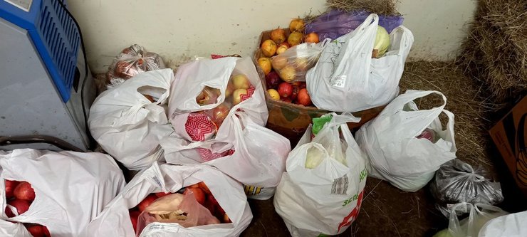 кінний клуб, кінний клуб київ, коні, допомога тваринам