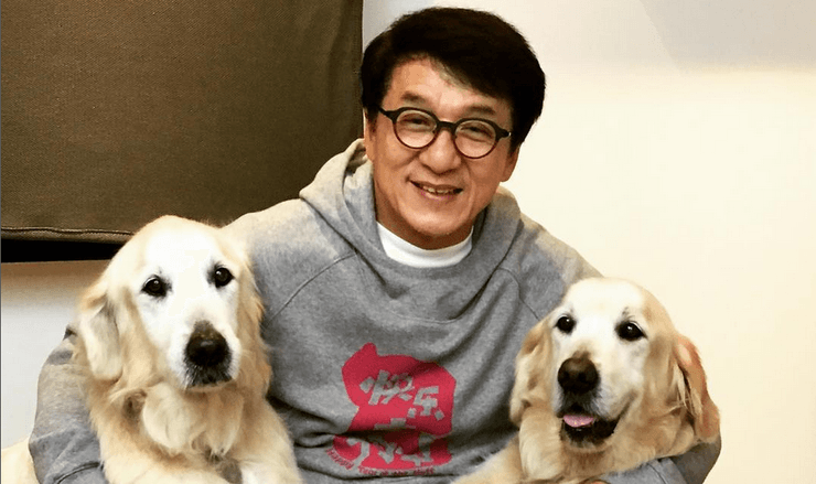 Джекі Чанг із собаками