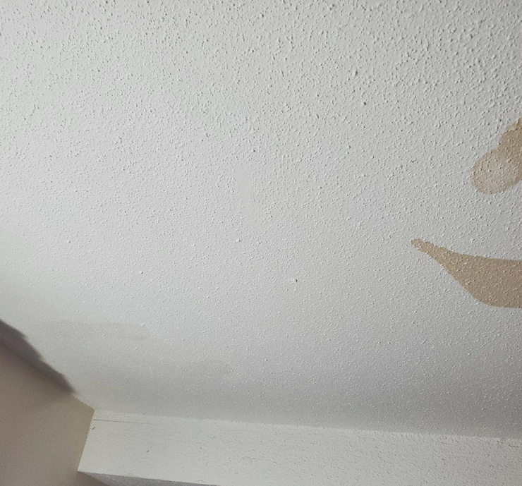 Пятна на потолке почему появляются, следы на потолке, причины почернения потолка в комнатах, что с этим делать, Великобритания, фото