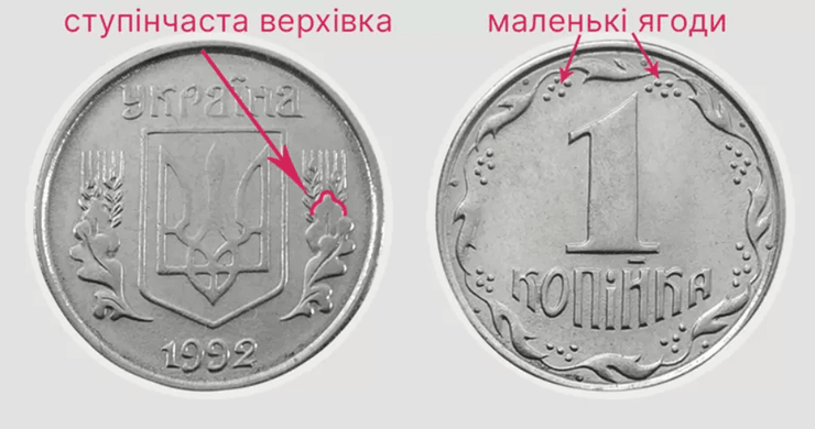 Редкая одна копейка со ступенчатой верхушкой листа и маленькими ягодами