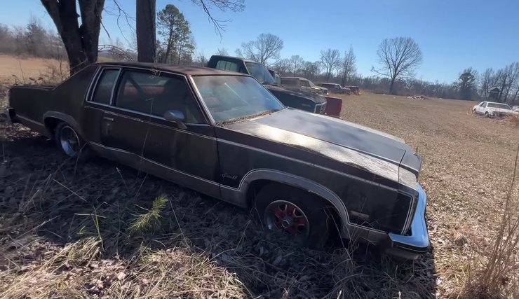 Oldsmobile 88, кладбище авто, свалка авто