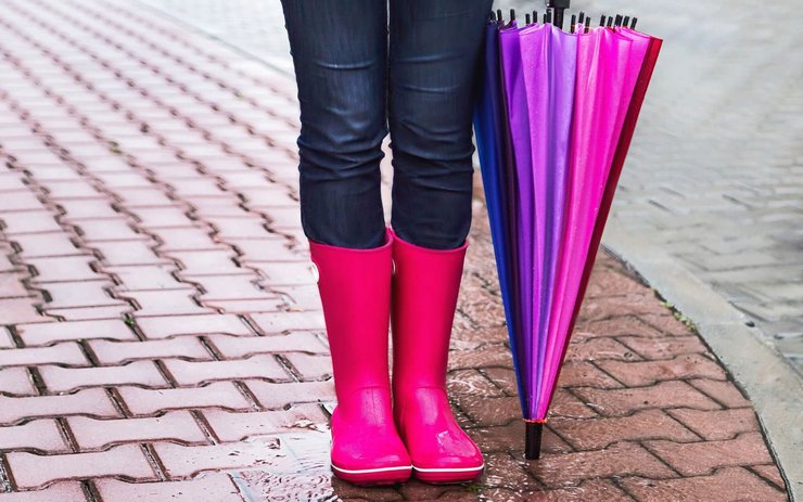 фото, резиновые сапоги