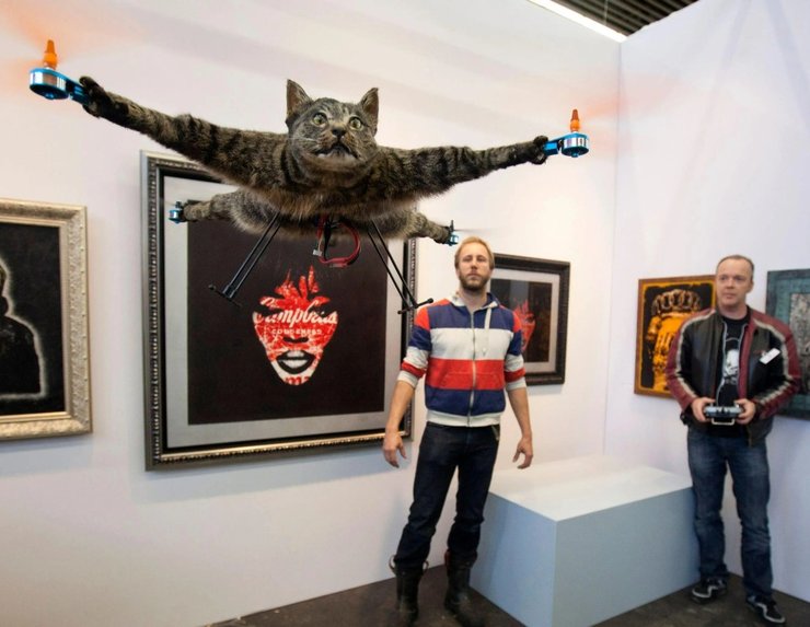 коптери з котів