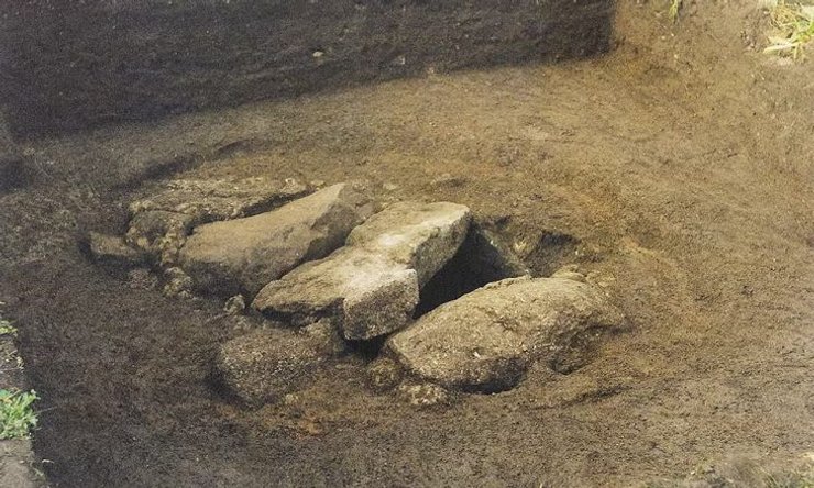 поховання, зуб, емаль, дослідження, жінка, чоловік, меч, дзеркало, брошка, дослідження, білок, бронза, залізний вік, воїн, могила, війна, наука, вчені, археологія, археологи, останки, розкопки