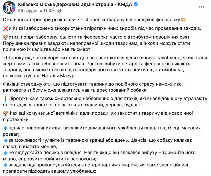 фейерверк, салют, собака, испуг собак, собака фейерверк, собака салют