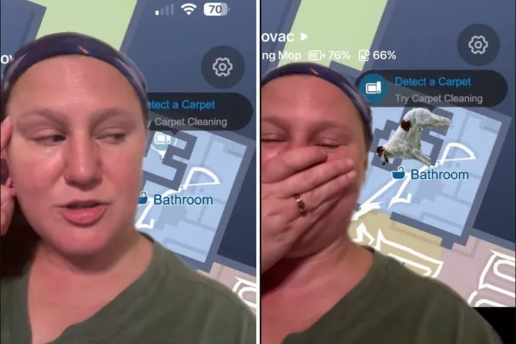 Женщина получила сообщение от робота-пылесоса, который принял собаку за новый ковер