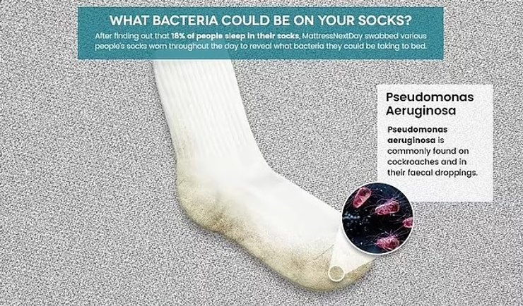 бактерии носки