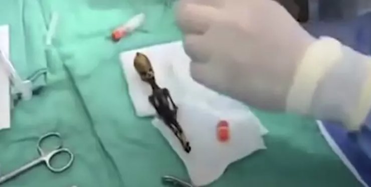 Скелет, ученный, руки, исследование,