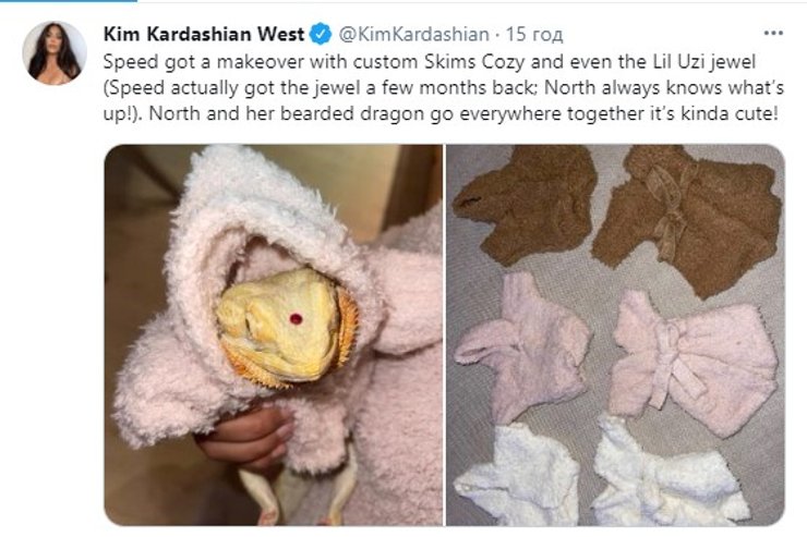 Кім Кардашьян, ящірка, тварина