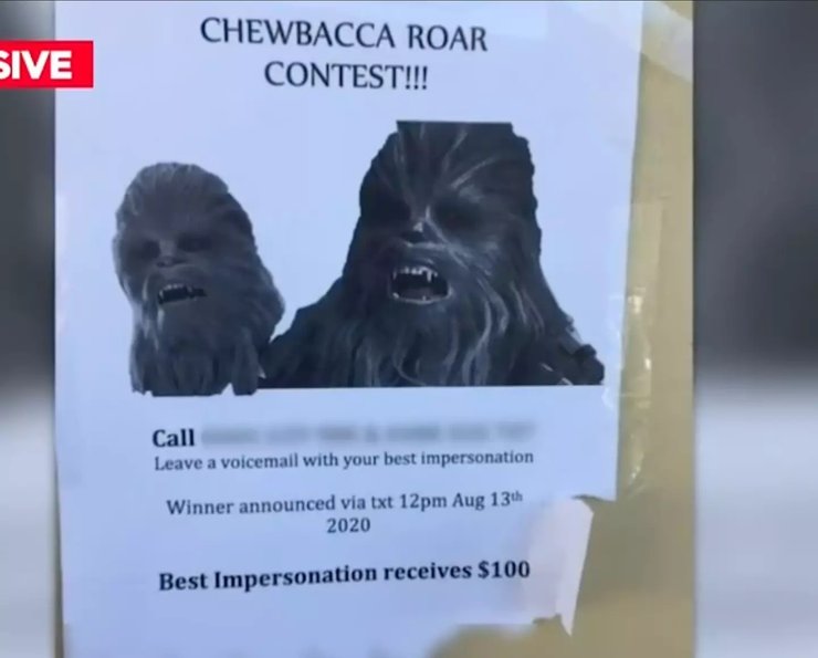 чубакка объявление