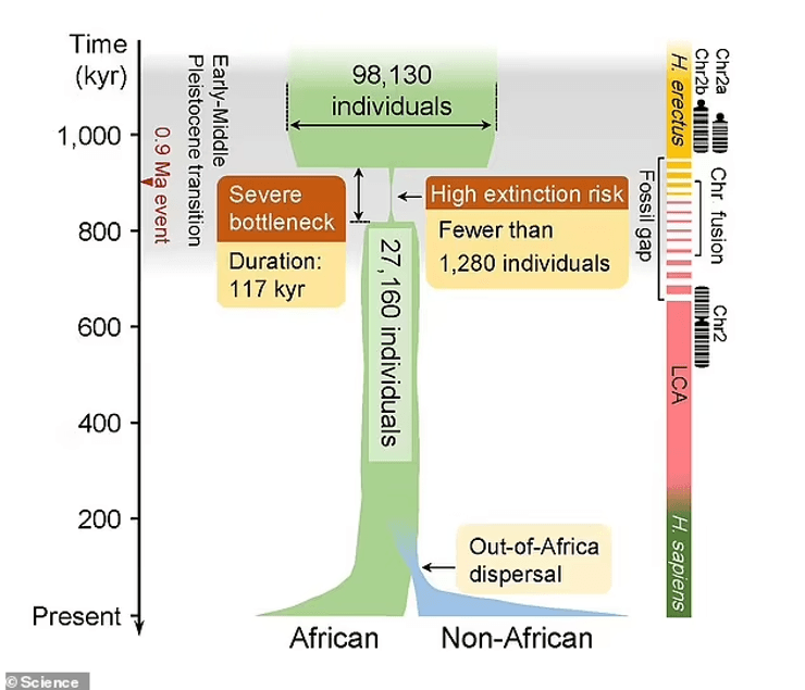 вымирание, похолодание, популяция, люди, популяция, генетический материал, естественный отбор, история, предки, анализ, исследования, люди, эволюция