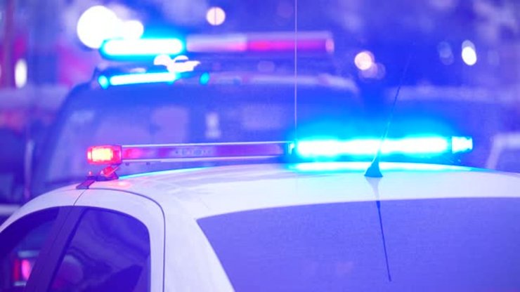 Поліція, злодій, грабіжник, заарештували чоловіка, незвичайне хобі, проникав у будинки, проникав на приватну власність, чужу ділянку