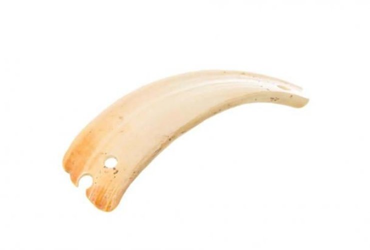 триполье, трипольская культура, находка, раскопки, археология украина, находка украина