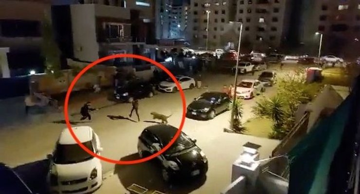 Нападение леопарда