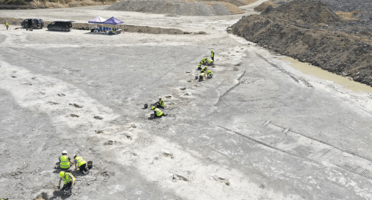 динозаври, сліди динозаврів, динозаври знахідка