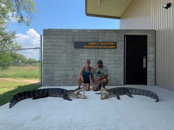 аллигатор фото, Самый большой аллигатор, охота на аллигаторов, охота на крокодилов, охота на крокодилов Техас