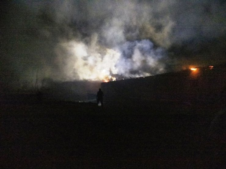 При пожаре в житомирской области погибли 30 козлят