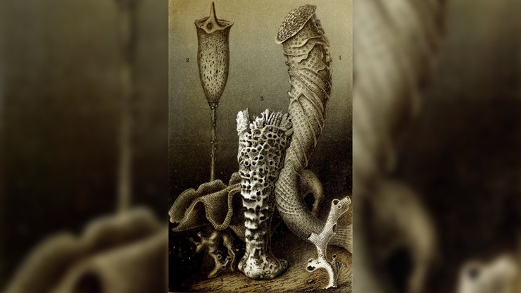 скляна губка