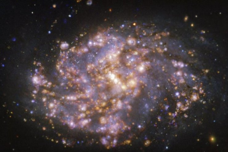 Спіральна галактика NGC 1087