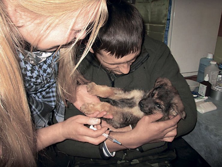 Алена Сонцеслава лечит больного щенка Артемиду