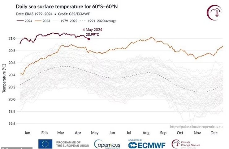 океан температура спека