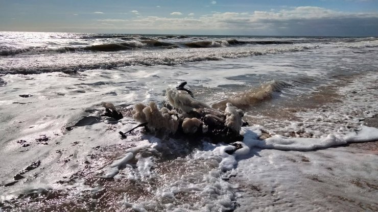 В акватории Черного моря возле Одесской области снова зафиксировали маслянистые пятна