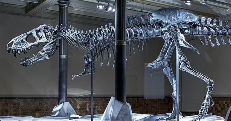 Тираннозавр, скелет, T.Rex, музей, Берлин