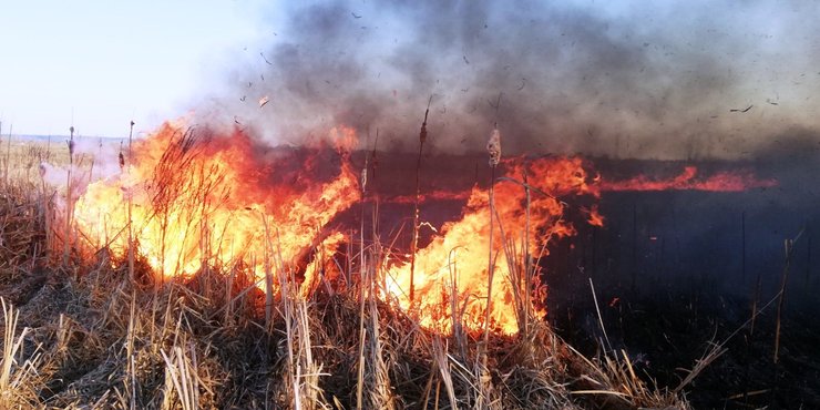 Новая Дарница, пожары, дым