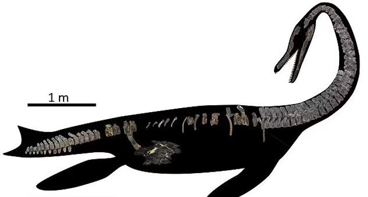 серпентизухопс, доисторическое существо