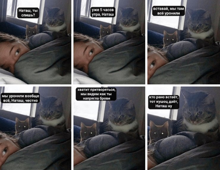 Оригинальный мем с Наташей