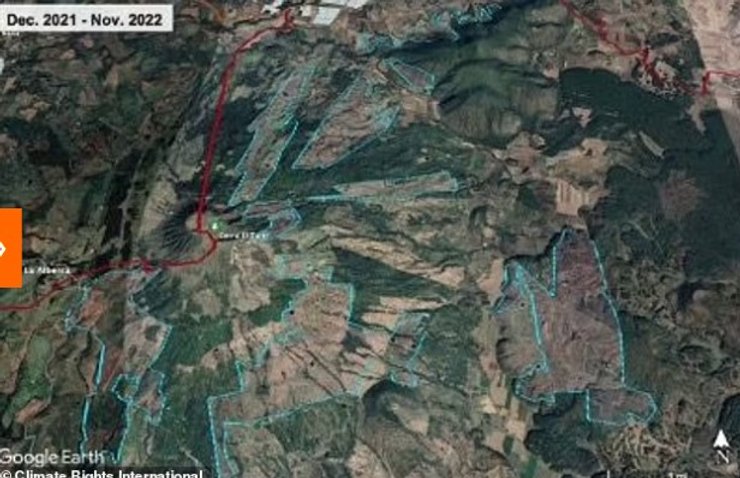 мексика ліс 2021-22