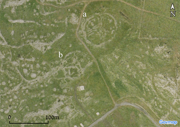 Объекты выполняли различные функции