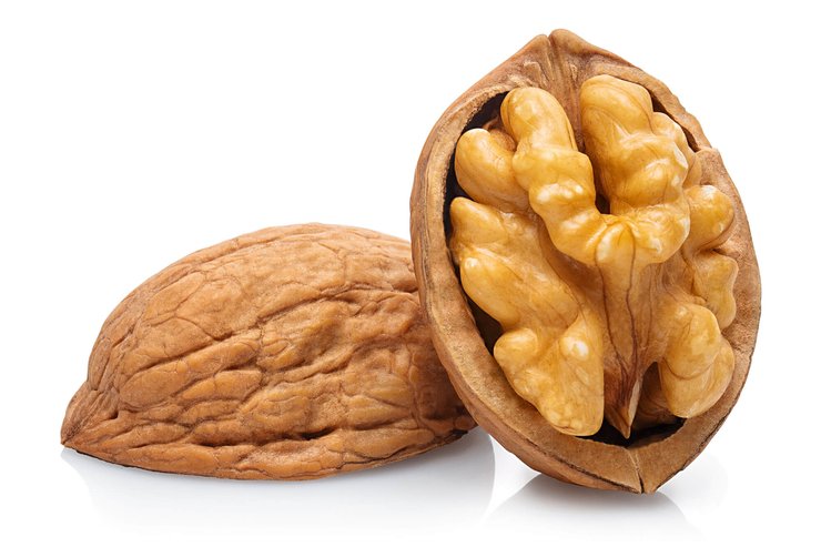 грецкий орех, работа мозга, развитие речи