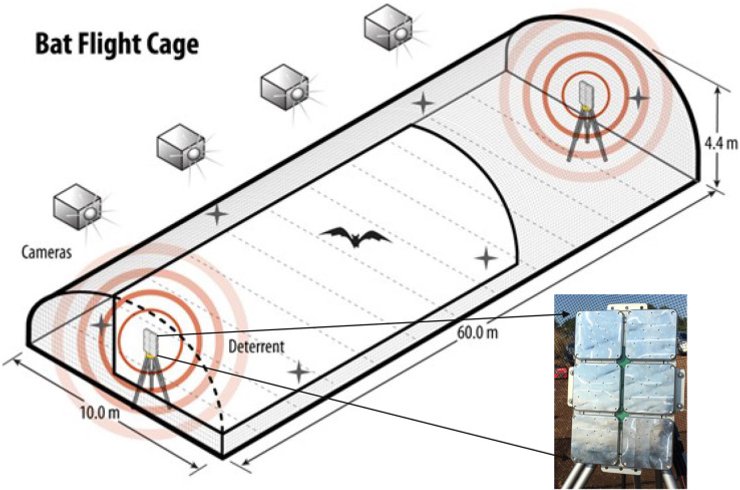 Відлякування кажанів, ультразвук, вітряні турбіни, фото
