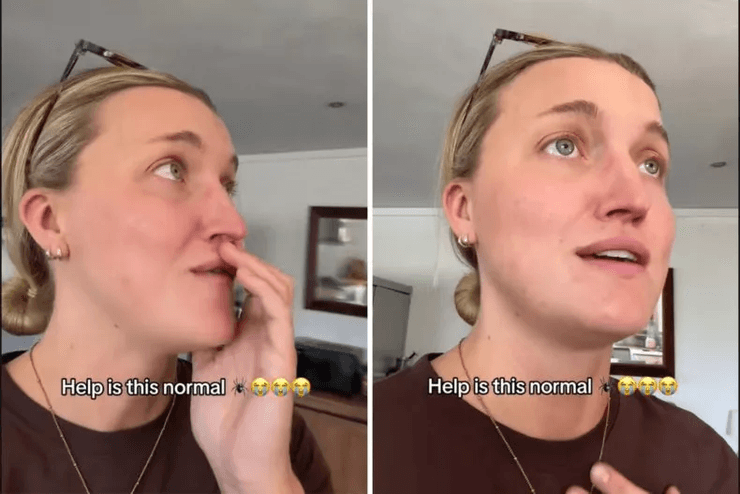 Пара вернулась из отпуска и заметила в своей доме кучу пауков