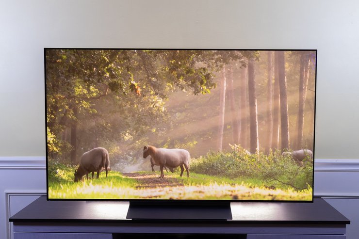 найкращий OLED-телевізор